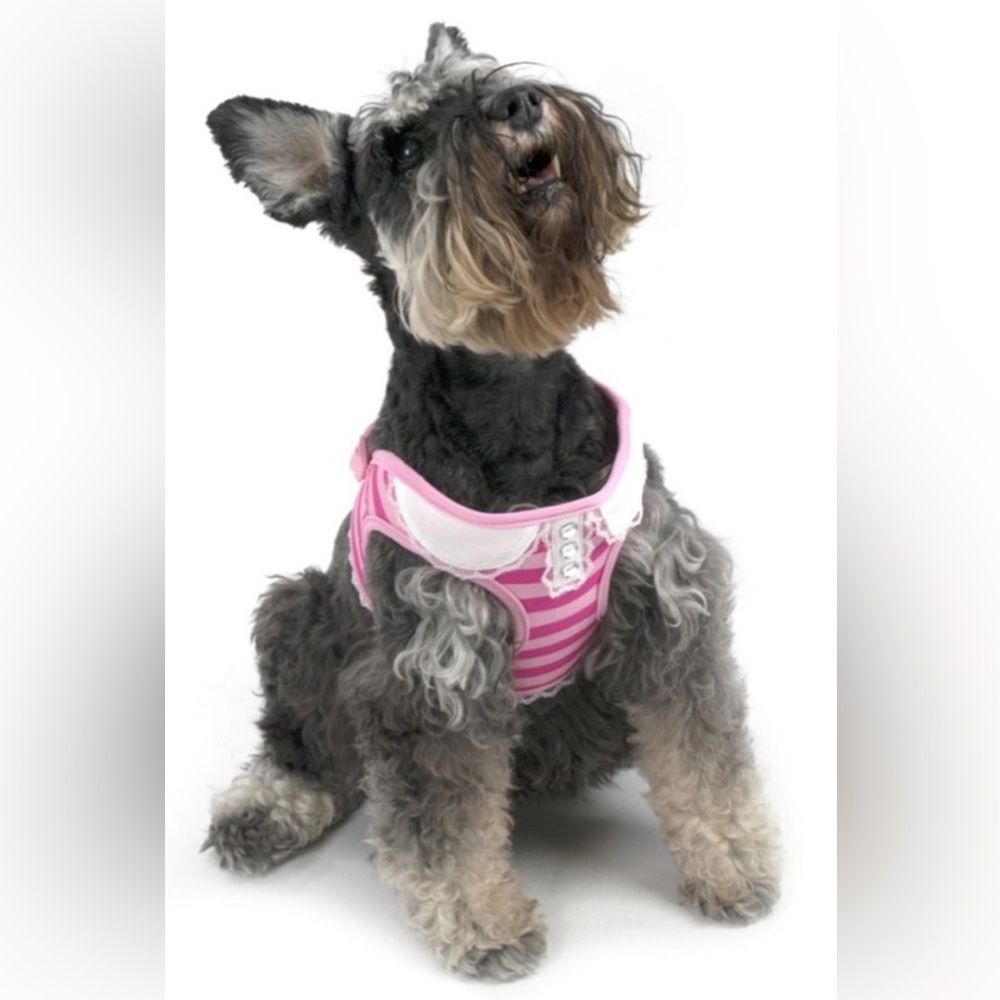 NWT [Vibrant Life] Girly Pink Striped Lace Collar Buckle Dog Harness Sz Small - Picture 2 of 7
